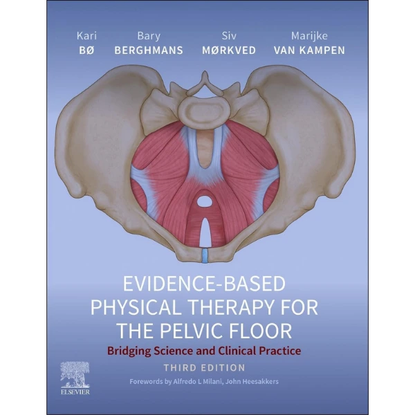 Evidence-Based Physical Therapy for the Pelvic Floor